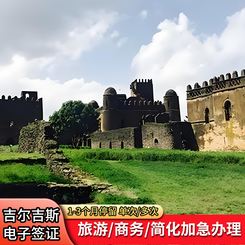 坦桑尼亚签证·加急简